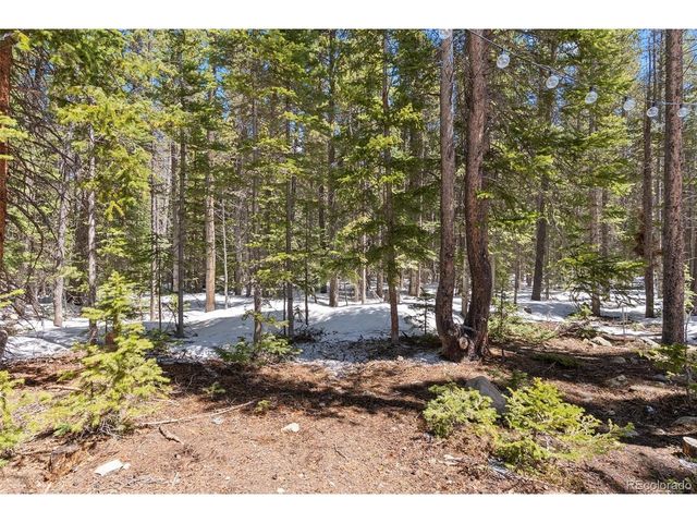 400 Upper Forest Rd, Idaho Springs, CO 80452