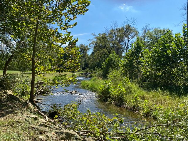 561 E Spring Street, Neosho, MO 64850