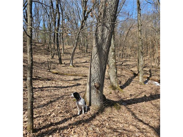 W13942 County Road B, Fairchild, WI 54741