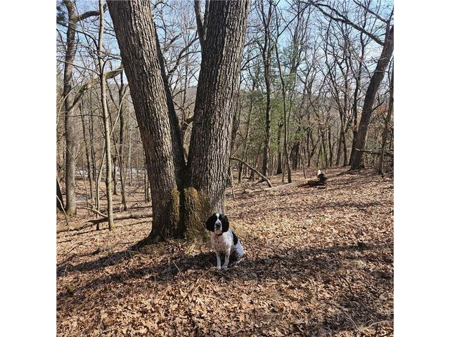 W13942 County Road B, Fairchild, WI 54741