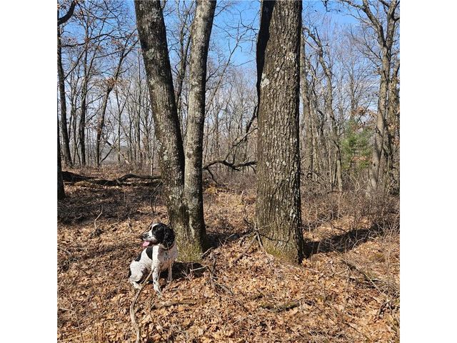 W13942 County Road B, Fairchild, WI 54741