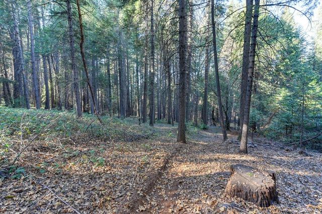24825 Harrison St, Foresthill, CA 95631