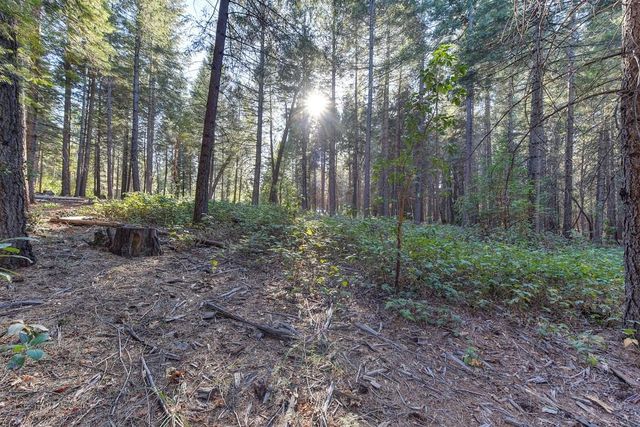 24825 Harrison St, Foresthill, CA 95631