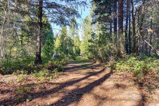 24825 Harrison St, Foresthill, CA 95631