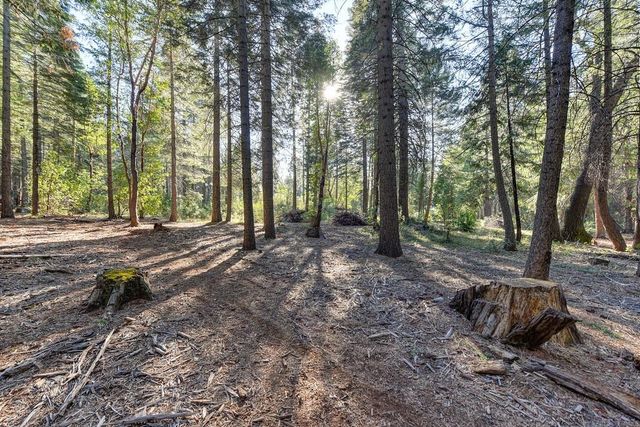 24825 Harrison St, Foresthill, CA 95631