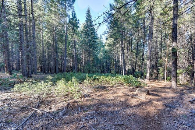 24825 Harrison St, Foresthill, CA 95631