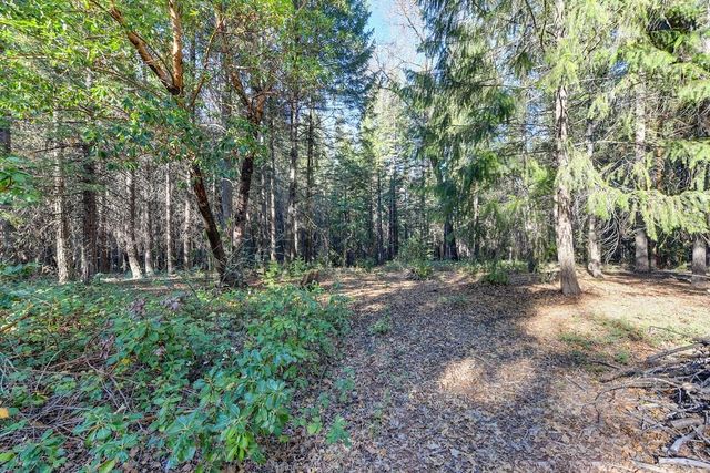 24825 Harrison St, Foresthill, CA 95631