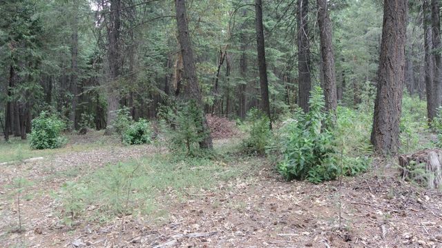 24825 Harrison St, Foresthill, CA 95631