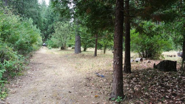 24825 Harrison St, Foresthill, CA 95631