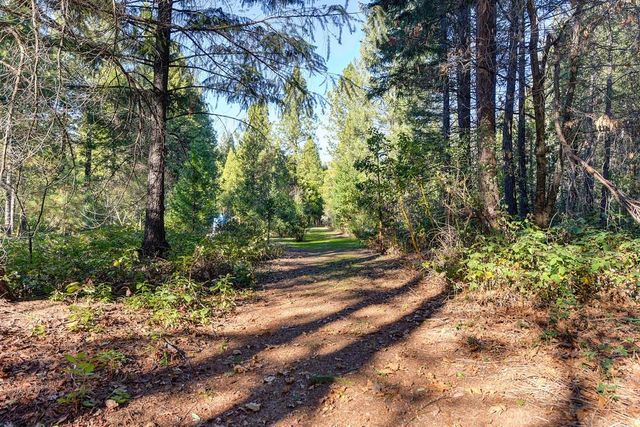 24825 Harrison St, Foresthill, CA 95631