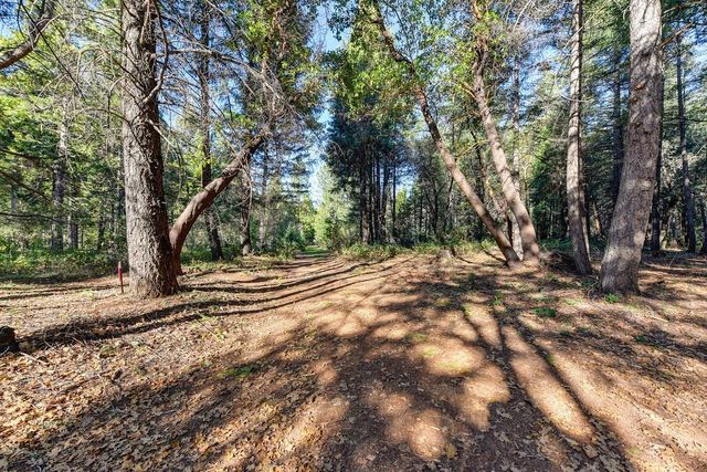 24825 Harrison St, Foresthill, CA 95631