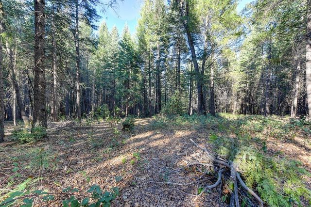 24825 Harrison St, Foresthill, CA 95631