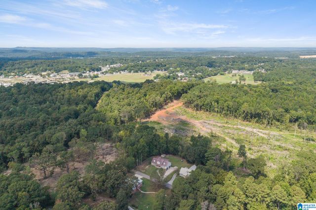 11 CALLAWAY DRIVE, Pell City, AL 35128