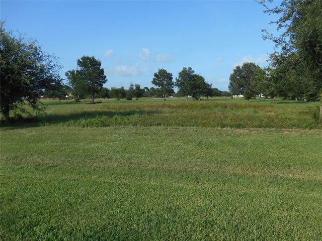 0 Meadow Wood Lane, Sealy, TX 77474