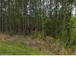 Lark Street, Bay Saint Louis, MS 39520