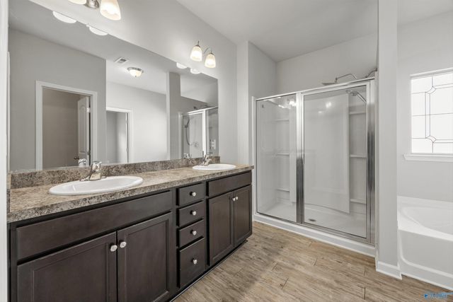 14328 Water Stream Drive, Harvest, AL 35749