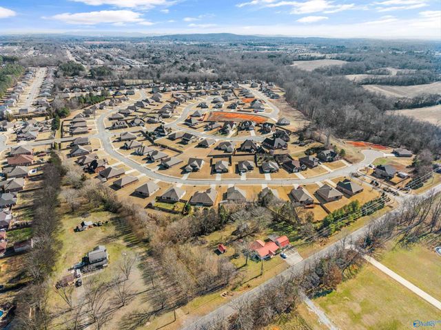 14328 Water Stream Drive, Harvest, AL 35749