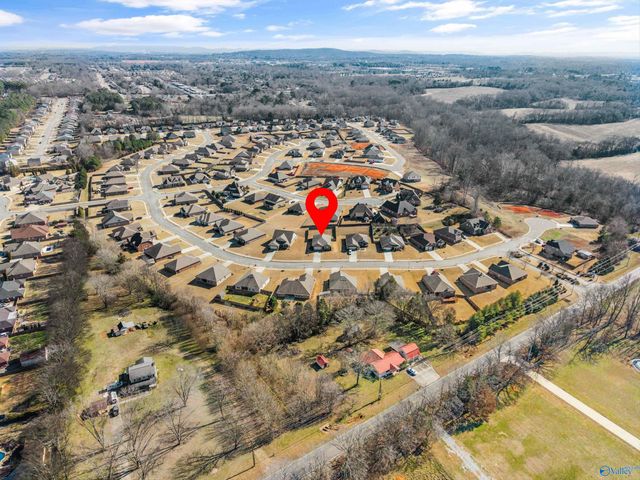 14328 Water Stream Drive, Harvest, AL 35749