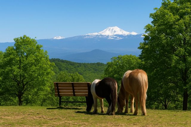 16240 Old Mission Drive, Red Bluff, CA 96080