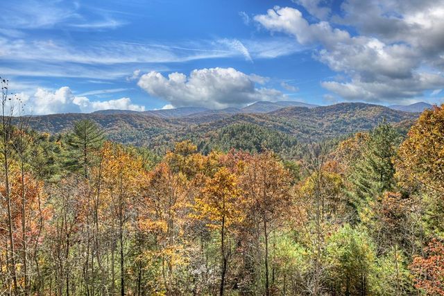 671 Stover Knob Trail, Cherry Log, GA 30513