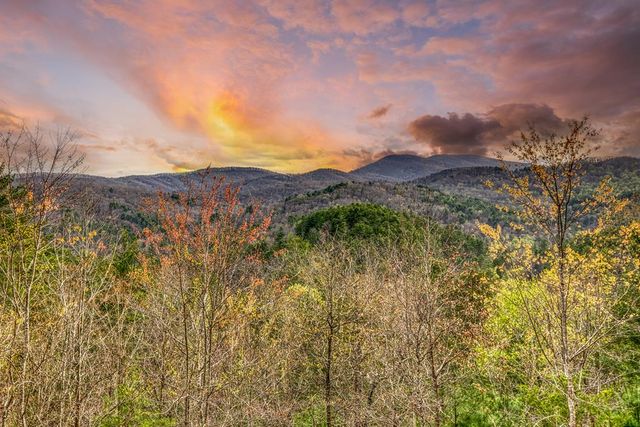 671 Stover Knob Trail, Cherry Log, GA 30513