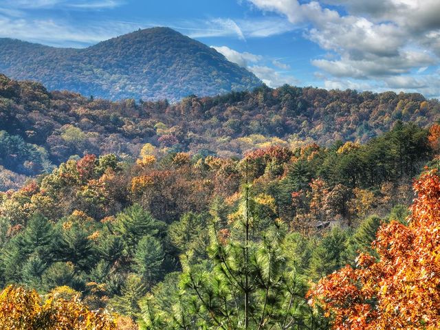 671 Stover Knob Trail, Cherry Log, GA 30513