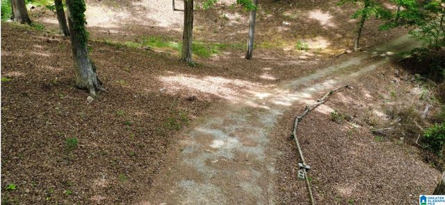 1020 SPRING HILL ROAD, Talladega, AL 35160