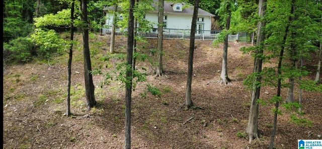 1020 SPRING HILL ROAD, Talladega, AL 35160
