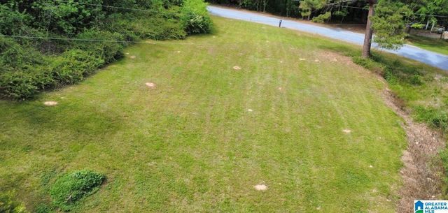 1020 SPRING HILL ROAD, Talladega, AL 35160