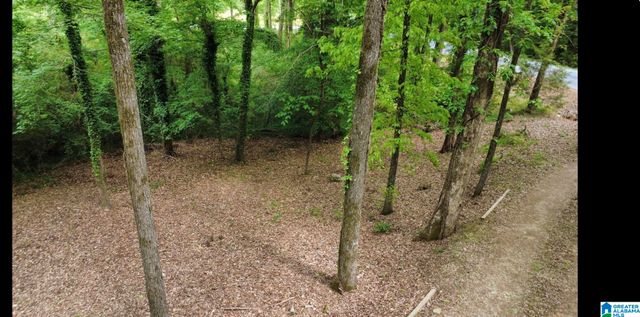 1020 SPRING HILL ROAD, Talladega, AL 35160