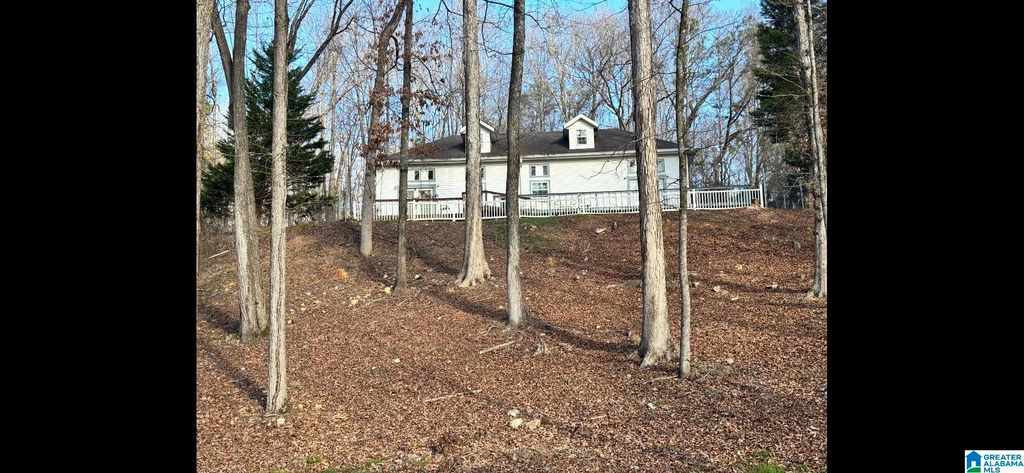 1020 SPRING HILL ROAD, Talladega, AL 35160