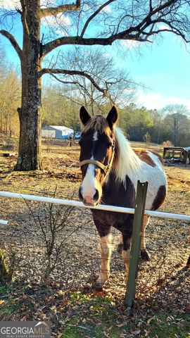 2070 Kingston Hwy, Rome, GA 30161