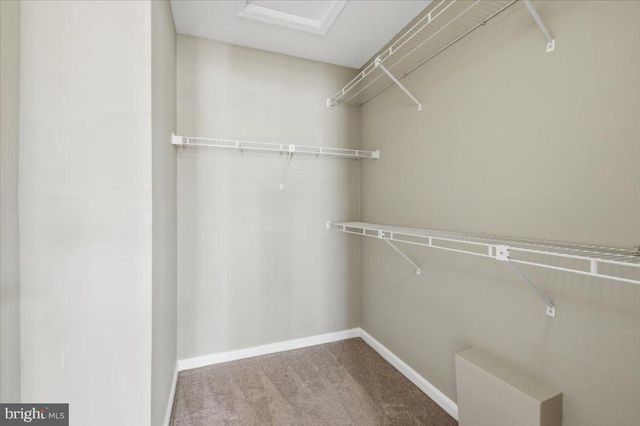 9304 WITCH HAZEL WAY, Manassas, VA 20110