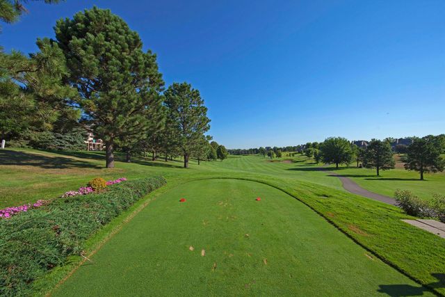 3595 Rae Lane, Woodbury, MN 55125