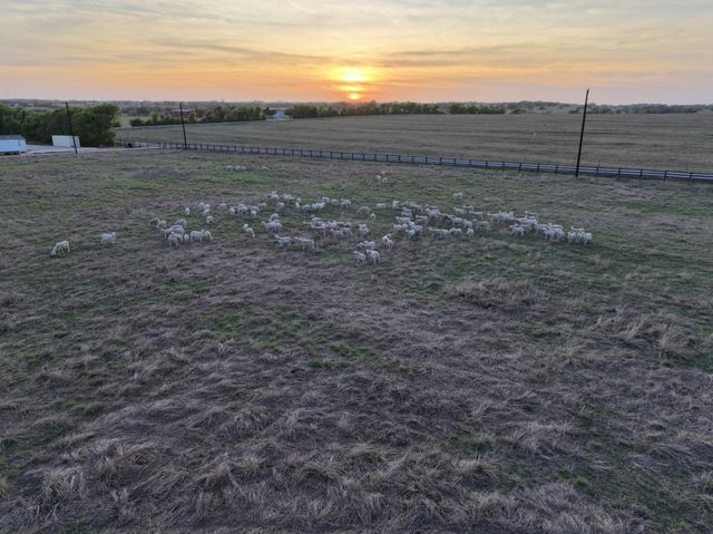 5255 Ganske Road, Burton, TX 77835