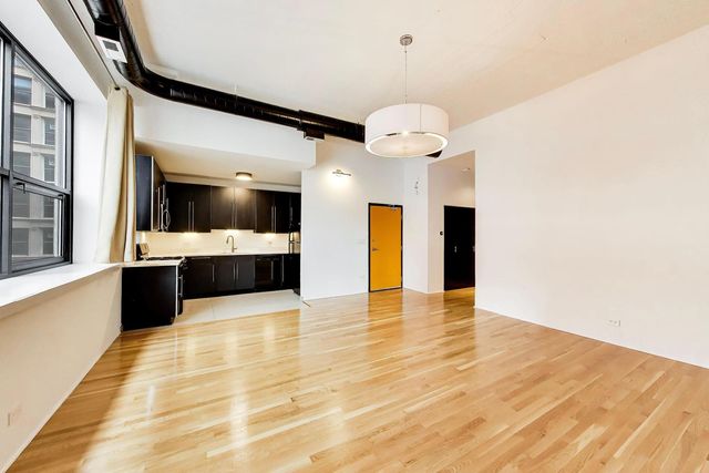 1021 S State Street 408, Chicago, IL 60605