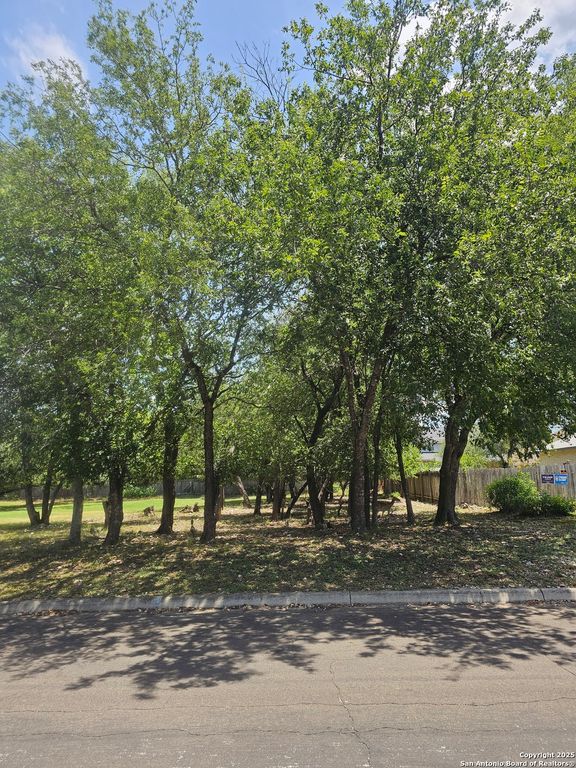 7312 Linkmeadow, San Antonio, TX 78240