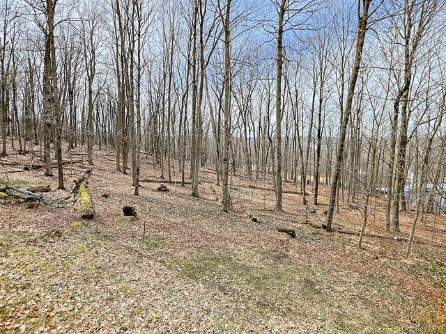 26 Sunrise Heights, Goshen, NY 10924