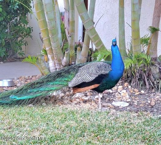 8761 Ilex Court, Cape Canaveral, FL 32920