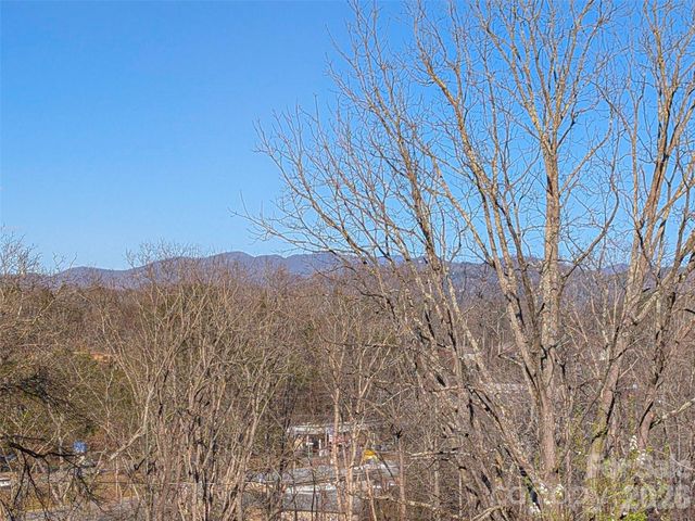 14 Mountain Terrace, Asheville, NC 28806