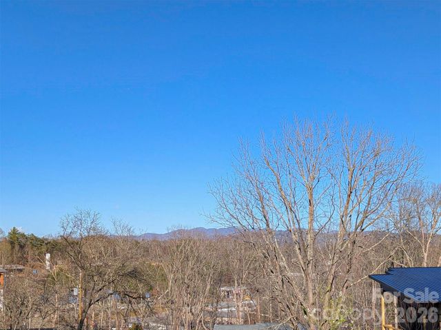 14 Mountain Terrace, Asheville, NC 28806
