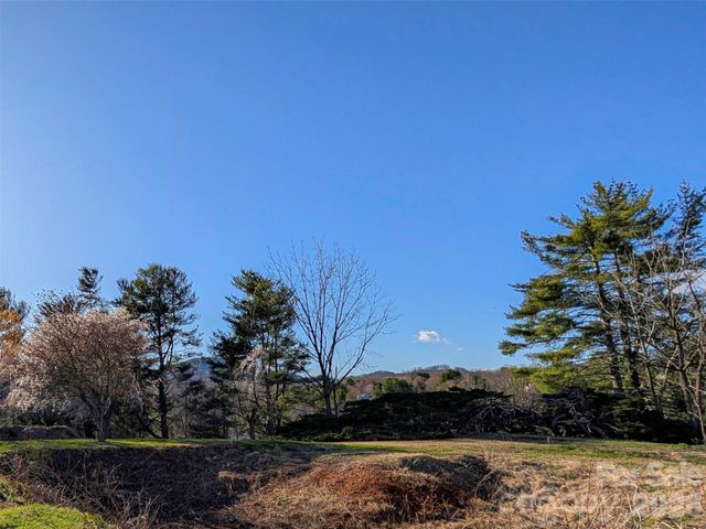 14 Mountain Terrace, Asheville, NC 28806