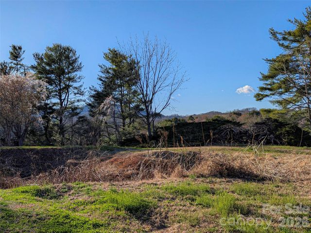 14 Mountain Terrace, Asheville, NC 28806