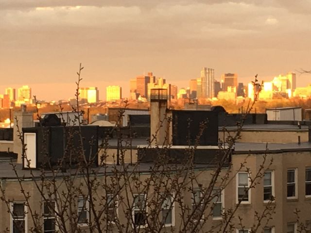 12 Bellvista Rd 2, Boston, MA 02135