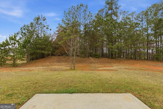 395 Bandelier Circle, Hampton, GA 30228