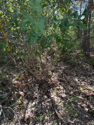 Lot 1355 N Kaupo DR, Bastrop, TX 78602