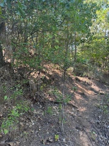 Lot 1355 N Kaupo DR, Bastrop, TX 78602