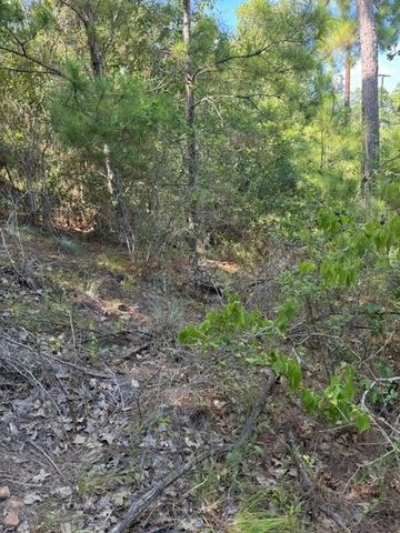 Lot 1355 N Kaupo DR, Bastrop, TX 78602