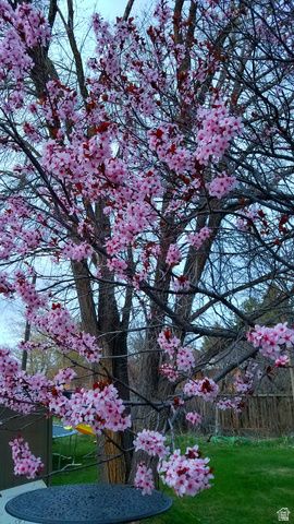 150 W 300 S, Parowan, UT 84761