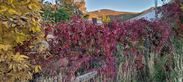 150 W 300 S, Parowan, UT 84761